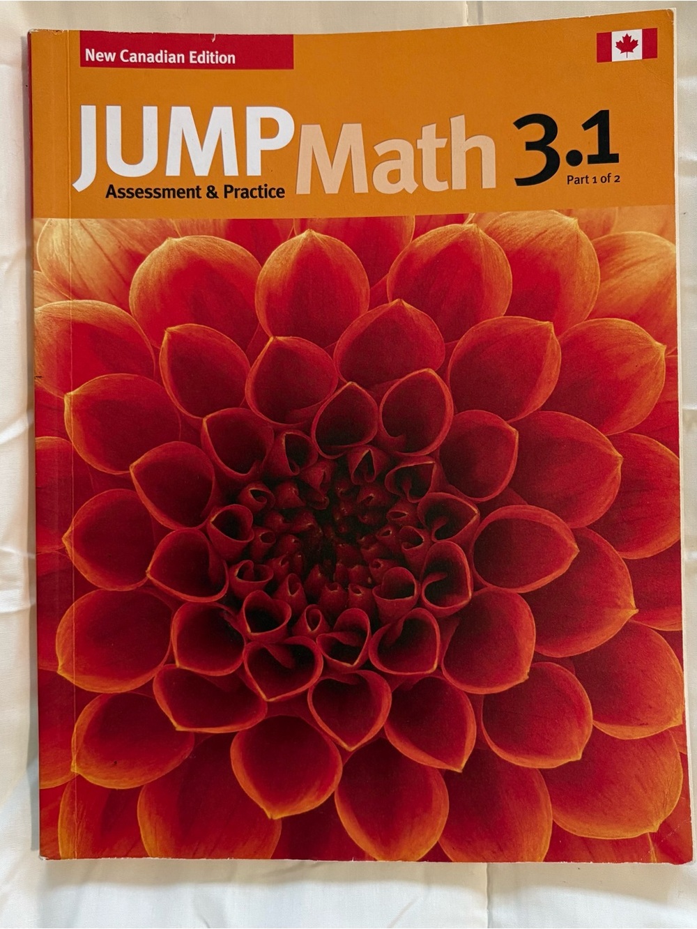 JUMP Math 3.1 Part 2 of 1 Assessment and Practice. New Edition.